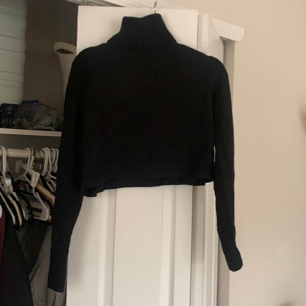 Zara cropped turtle neck